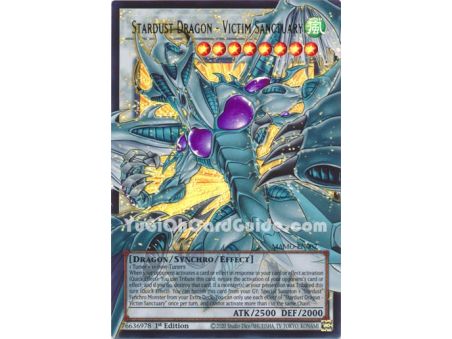 Stardust Dragon - Victim Sanctuary