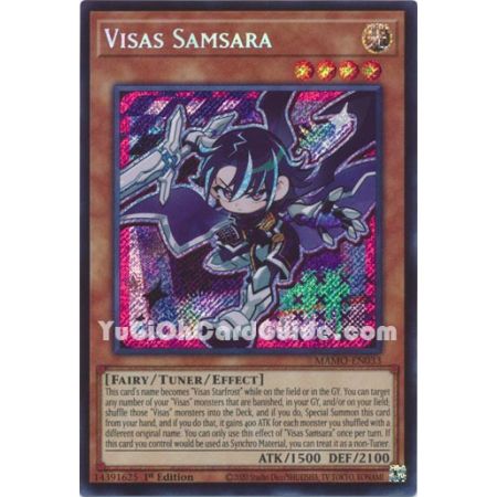 Visas Samsara