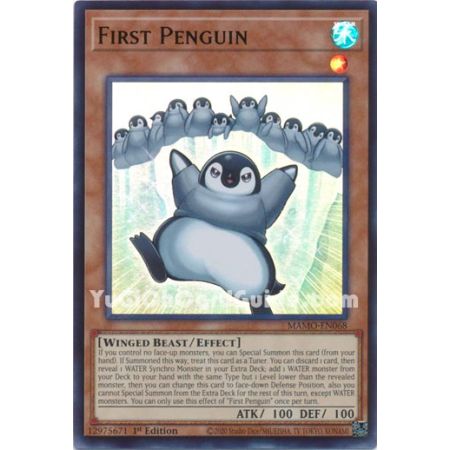 First Penguin