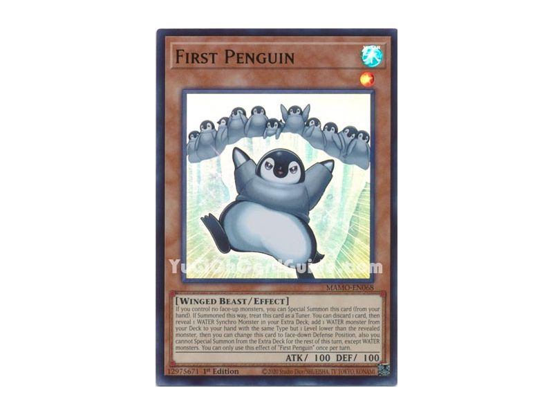 First Penguin