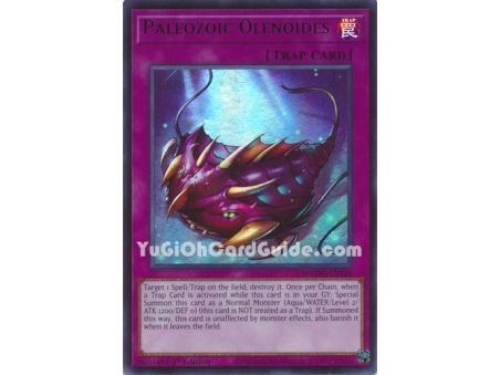 Paleozoic Olenoides