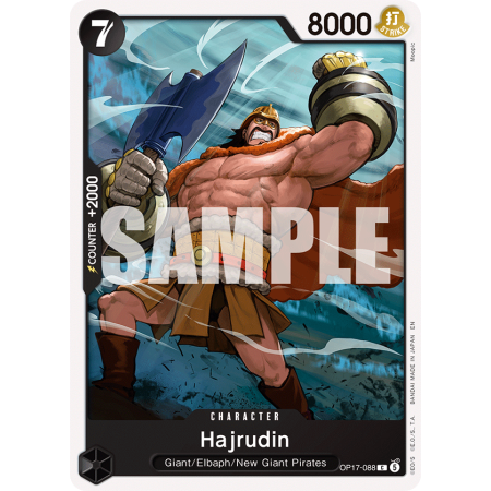 Hajrudin C