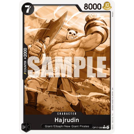 Hajrudin C P1