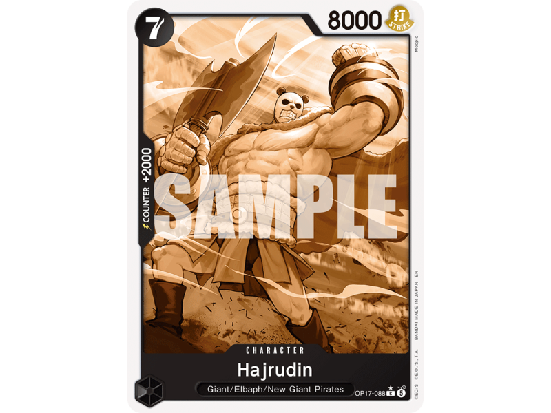 Hajrudin C P1