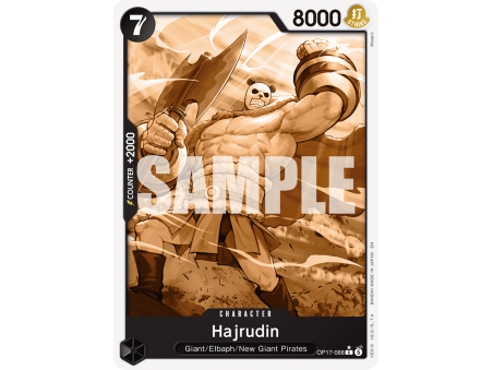 Hajrudin C P1