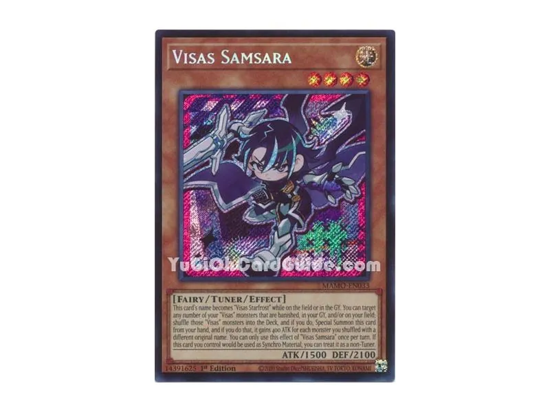 Visas Samsara