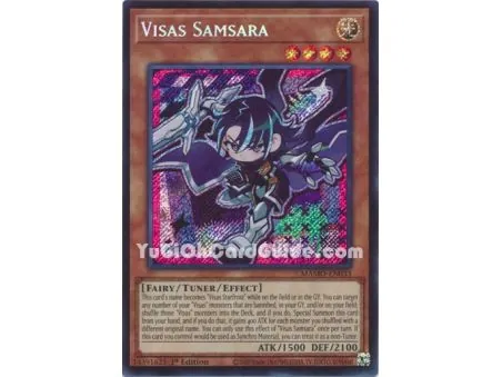 Visas Samsara