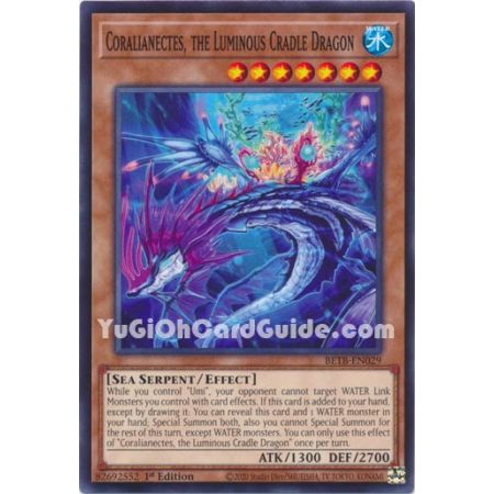 Coralianectes, the Luminous Cradle Dragon