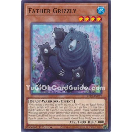 Father Grizzly