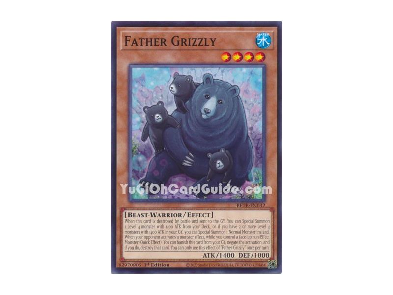 Father Grizzly
