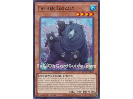 Father Grizzly