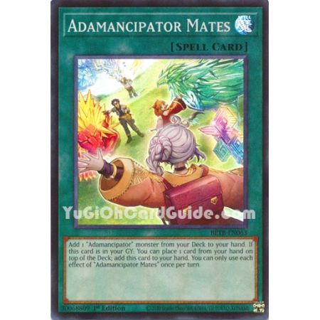 Adamancipator Mates