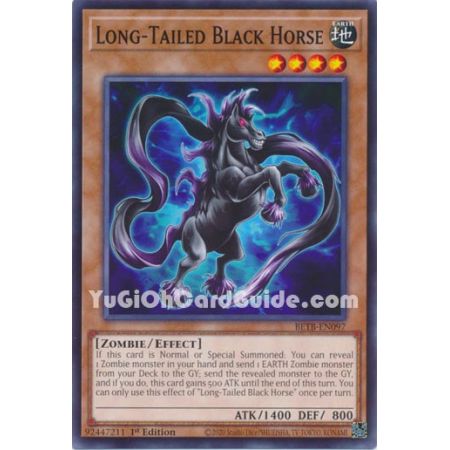 Long-Tailed Black Horse