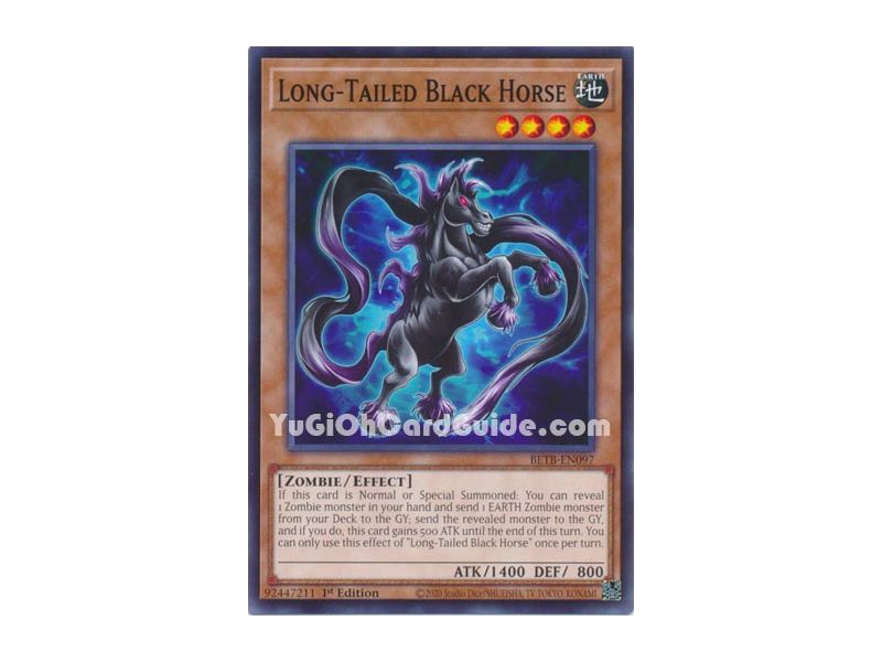 Long-Tailed Black Horse
