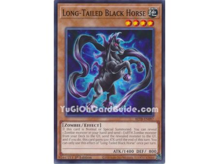 Long-Tailed Black Horse