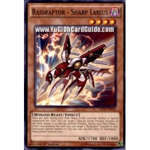 Raidraptor - Sharp Lanius