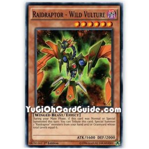 Raidraptor - Wild Vulture