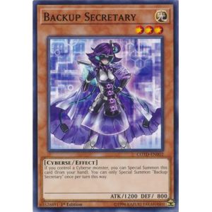 Backup Secretary (Common)