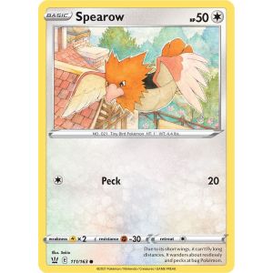 Spearow