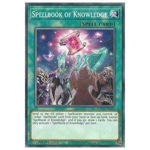 Spellbook of Knowledge (Common)