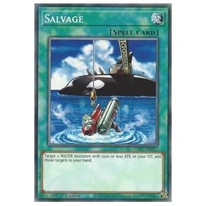 Salvage (Common)