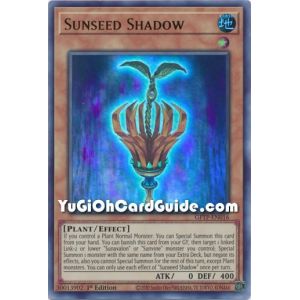 Sunseed Shadow