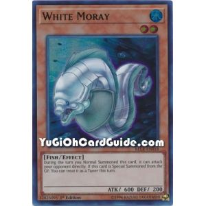 White Moray (Ultra Rare)