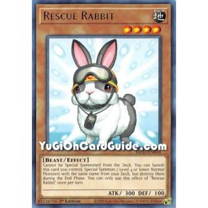 Rescue Rabbit (Rare)