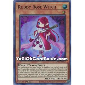 Ruddy Rose Witch (Super Rare)