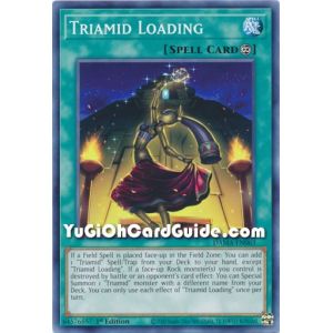 Triamid Loading (Common)