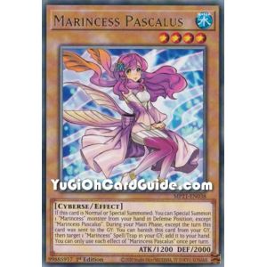 Marincess Pascalus (Rare)