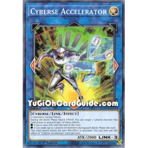 Cyberse Accelerator (Common)