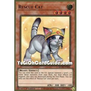 Rescue Cat (Premium Gold Rare)