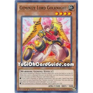 Geminize Lord Golknight (Common)