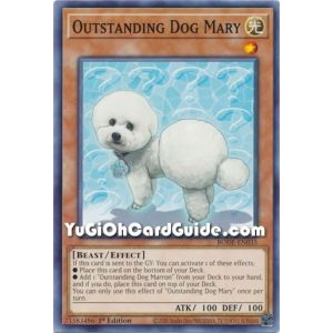 Outstanding Dog Mary (Common)