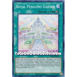 Royal Penguins Garden (Common)