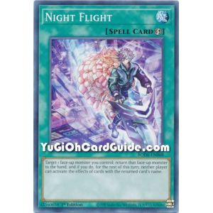 Night Flight (Common)