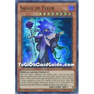 Sauge de Fleur (Ultra Rare)