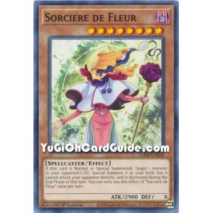 Sorciere de Fleur (Common)