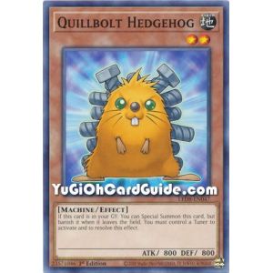 Quillbolt Hedgehog (Common)