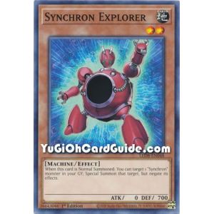 Synchron Explorer (Common)