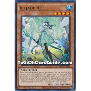 Icejade Acti (Common)