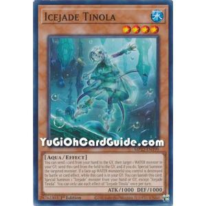 Icejade Tinola (Common)