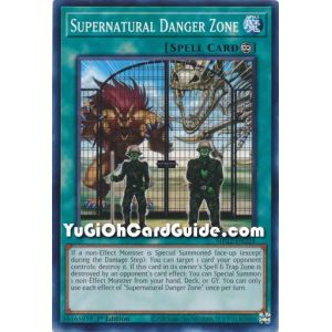 Supernatural Danger Zone (Common)