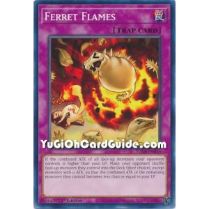 Ferret Flames (Common)