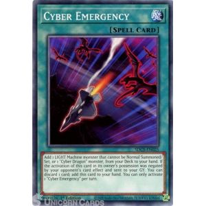 Cyber Emergency (Common)