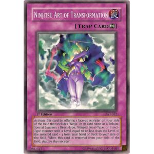 Ninjitsu Art of Transformation (Common)