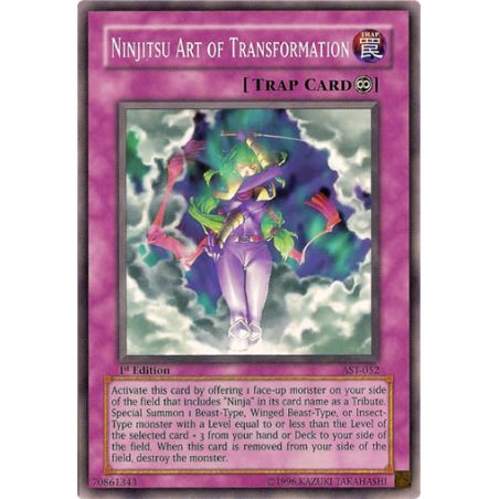 Ninjitsu Art of Transformation (Common)