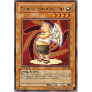 Absorbing Kid from the Sky (Common)