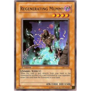 Regenerating Mummy (Common)